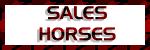 HORSES FOR SALE