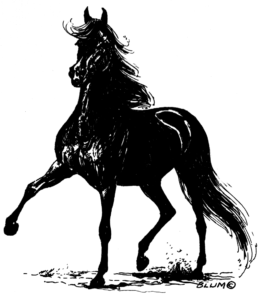 mare sketch by Blum
