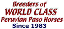 Breeders of World Class Peruvian Paso Horses