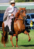 CCPHC Peruvian Horse Classic 2008